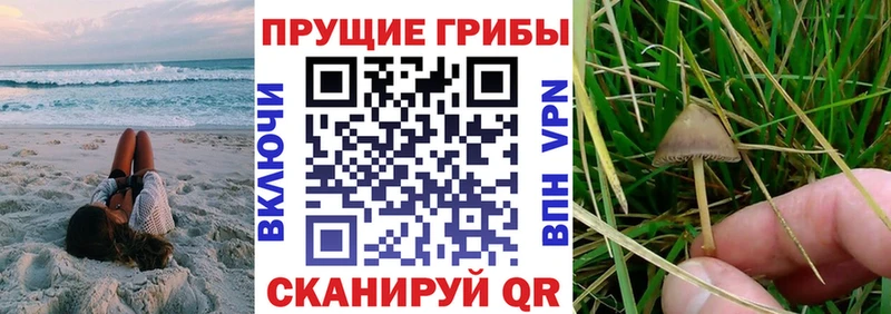 Галлюциногенные грибы прущие грибы Мончегорск